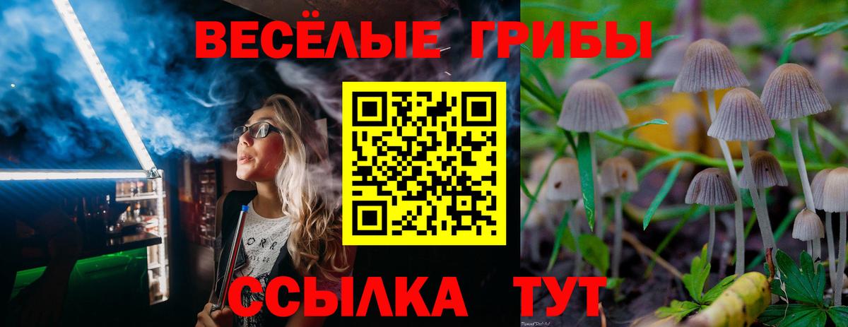 Галлюциногенные грибы мицелий Назрань